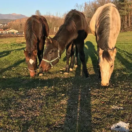 La Fornace Centro Ippico Farm stay Como